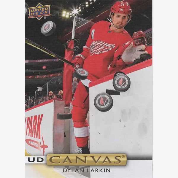 2019-20 Collecting Card Upper Deck Canvas #C133 