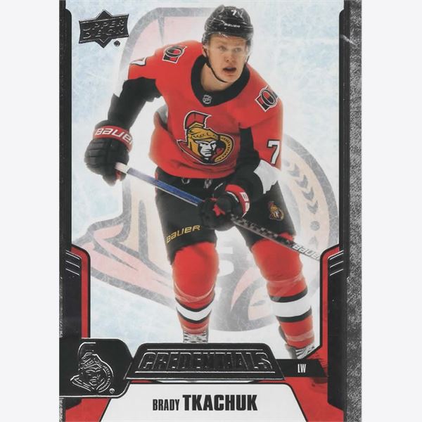 2019-20 Collecting Card Upper Deck Credentials #44